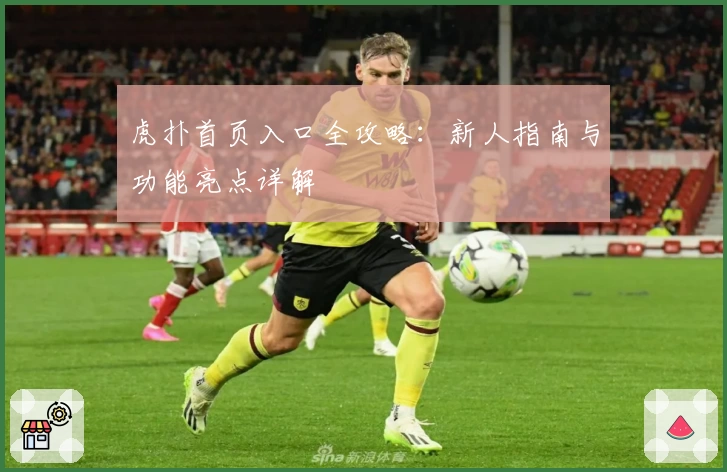 虎扑首页入口全攻略：新人指南与功能亮点详解