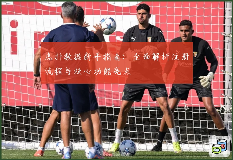 虎扑数据新手指南：全面解析注册流程与核心功能亮点