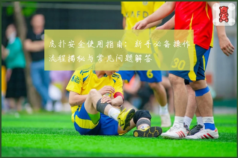 虎扑安全使用指南：新手必备操作流程揭秘与常见问题解答