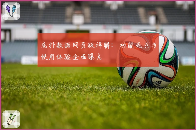 虎扑数据网页版详解：功能亮点与使用体验全面曝光